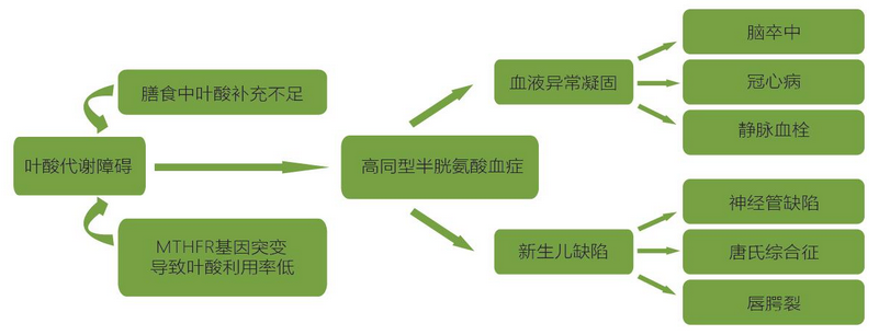 20200307235808425 首页 - 欧博ABG集团官方网站