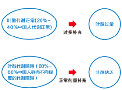 首页 - 欧博ABG集团官方网站