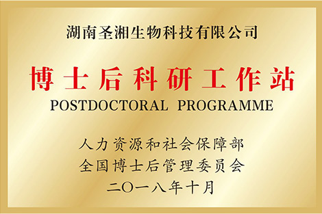20200304103340667