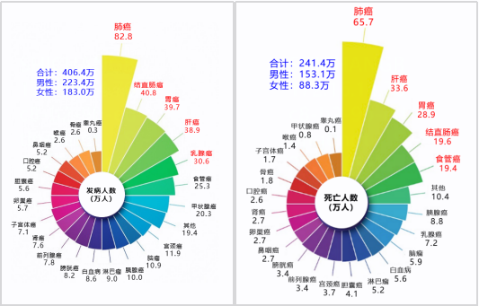 首页 - 欧博ABG集团官方网站